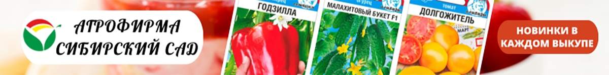 сиб